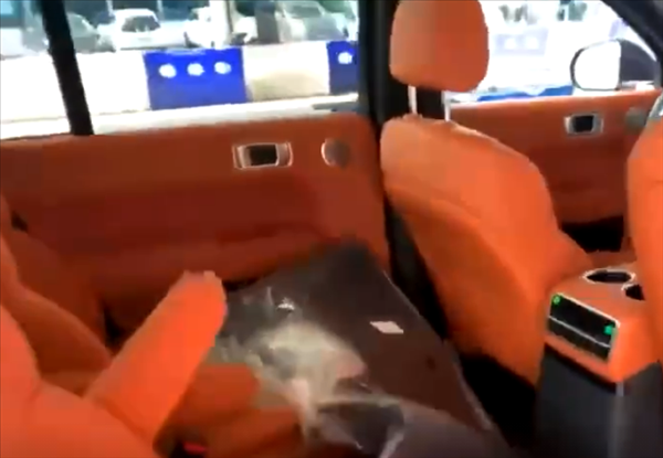 外紫内橙 特殊配色理想L9实车曝光：网友直呼hold不住！